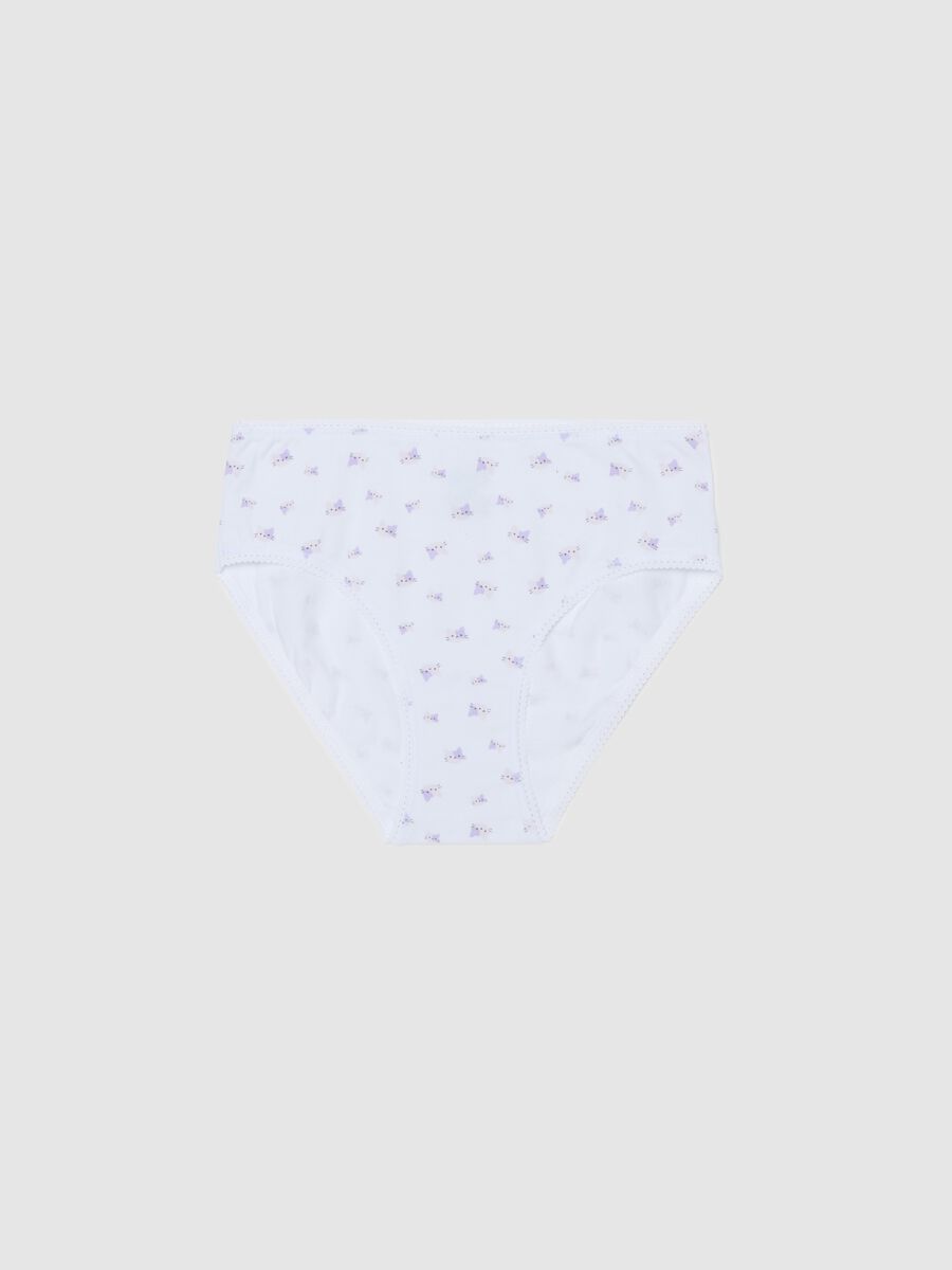 Jersey briefs with kittens print_0