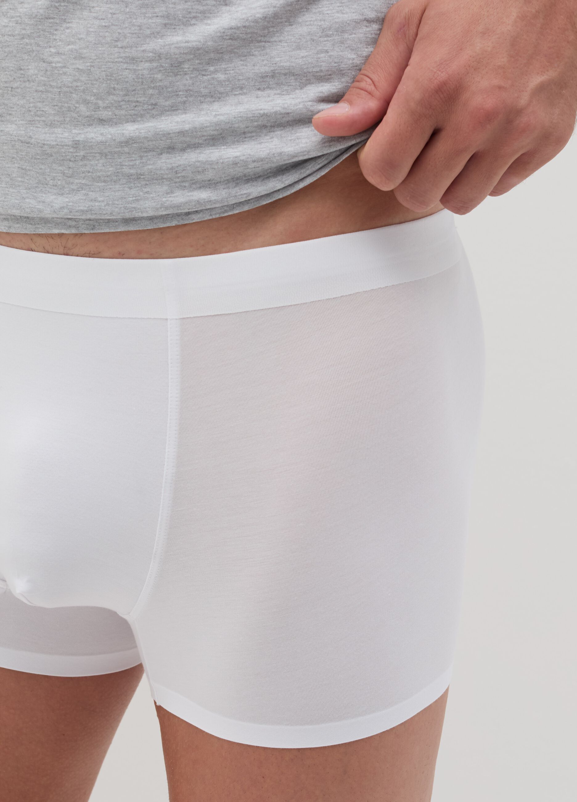 Boxer in modal stretch