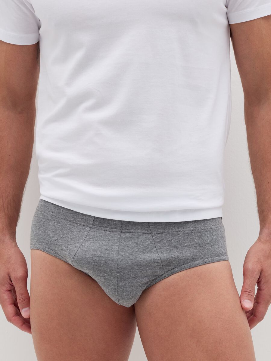 Organic cotton briefs_1