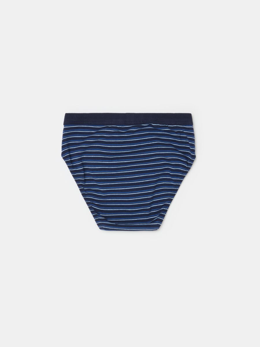 Striped organic cotton briefs_1