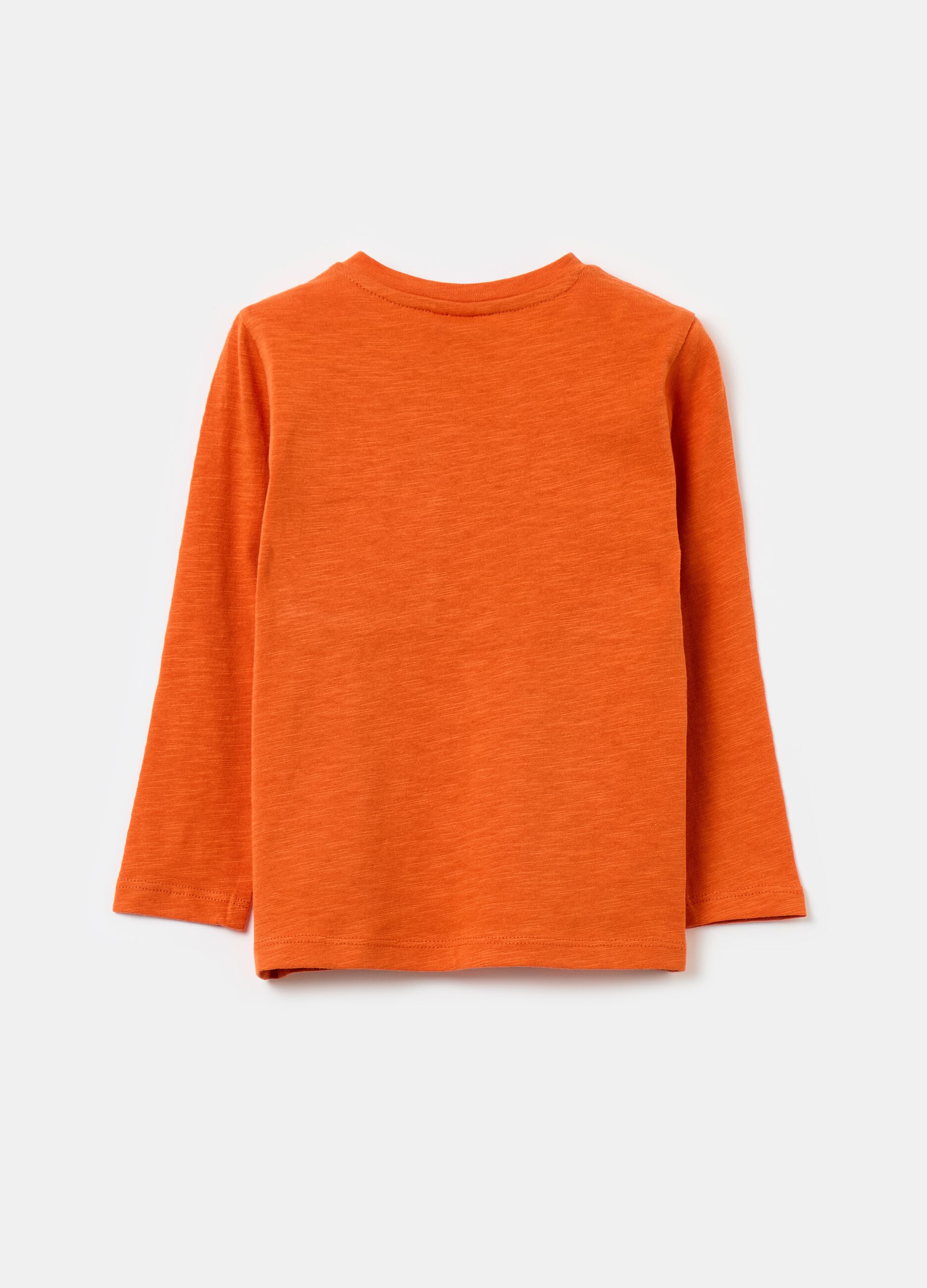 Long-sleeved T-shirt in cotton