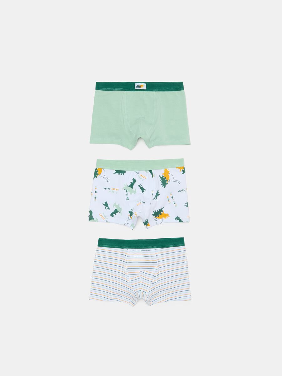 Three-pack boxer shorts with dinosaurs print_0