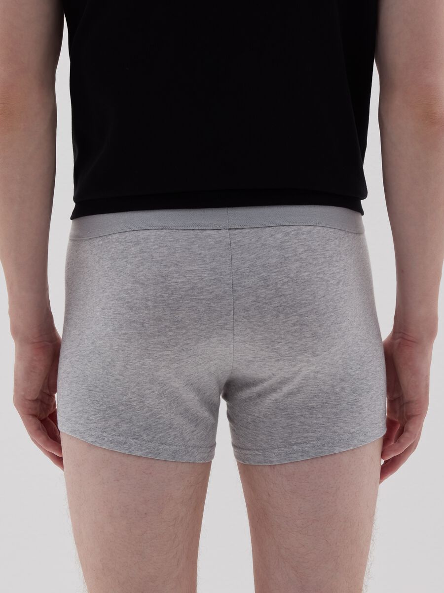 Organic cotton boxer shorts_2