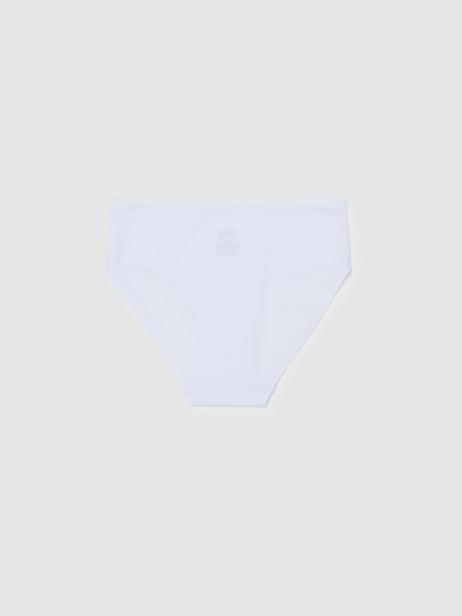 Organic cotton briefs with print_1