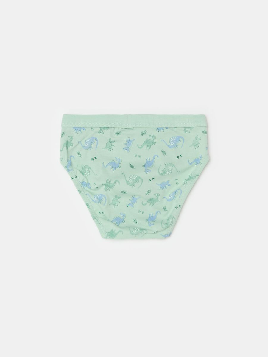 Organic cotton briefs with print_1