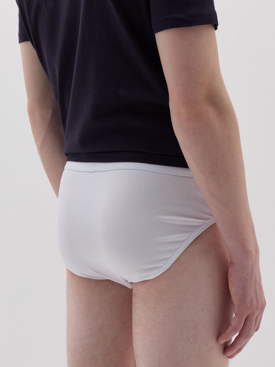 Stretch organic cotton briefs_2