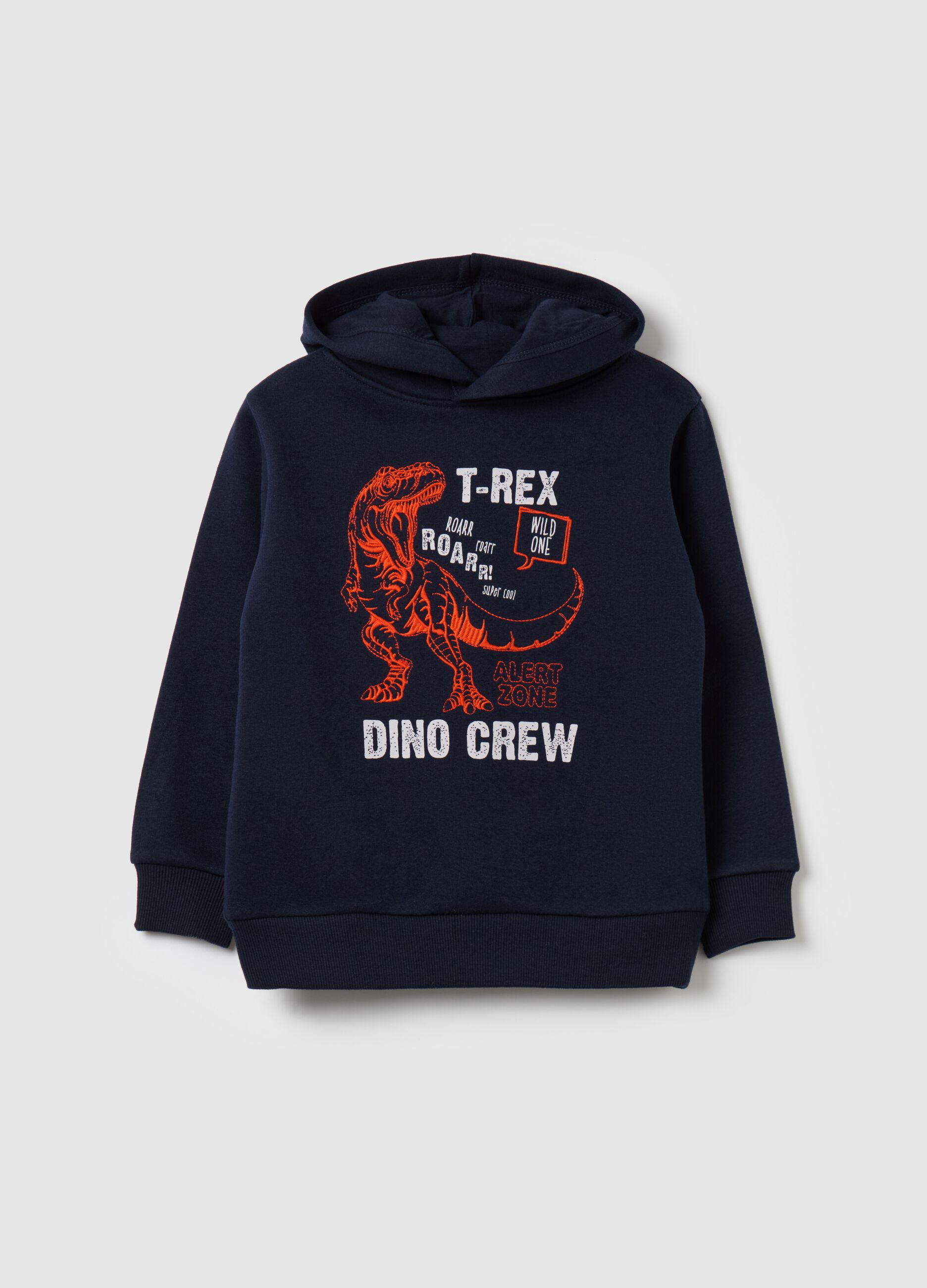 Sweatshirt with hood and dinosaur embroidery