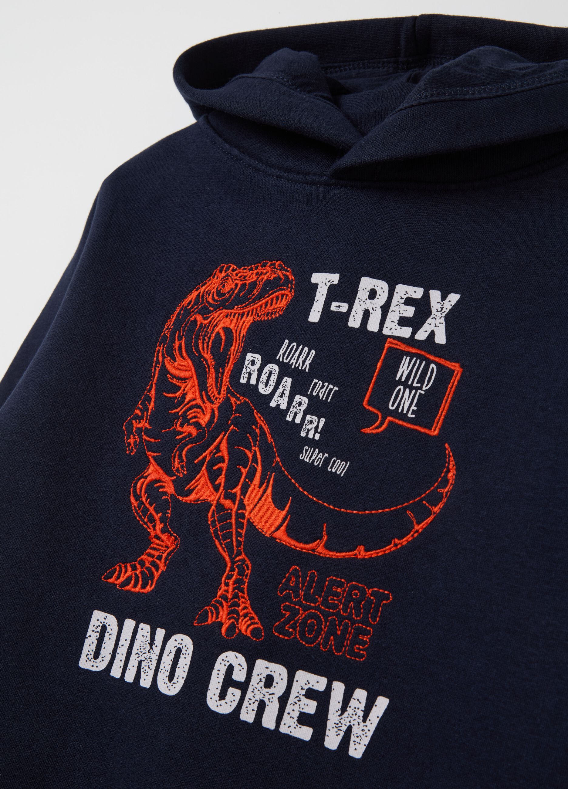 Sweatshirt with hood and dinosaur embroidery