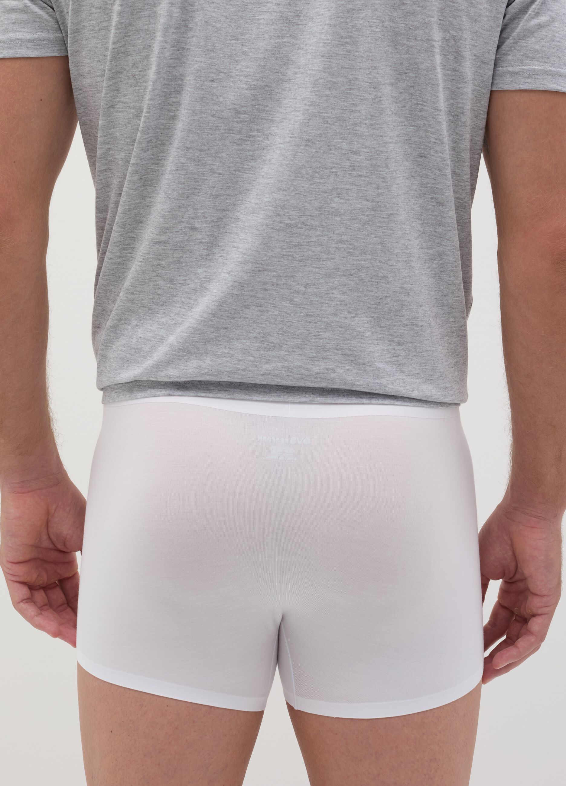 Boxer in modal stretch