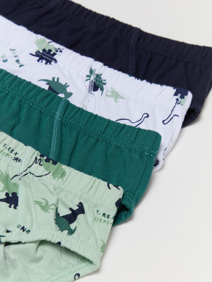 Five-pack organic cotton briefs with dinosaurs print_2