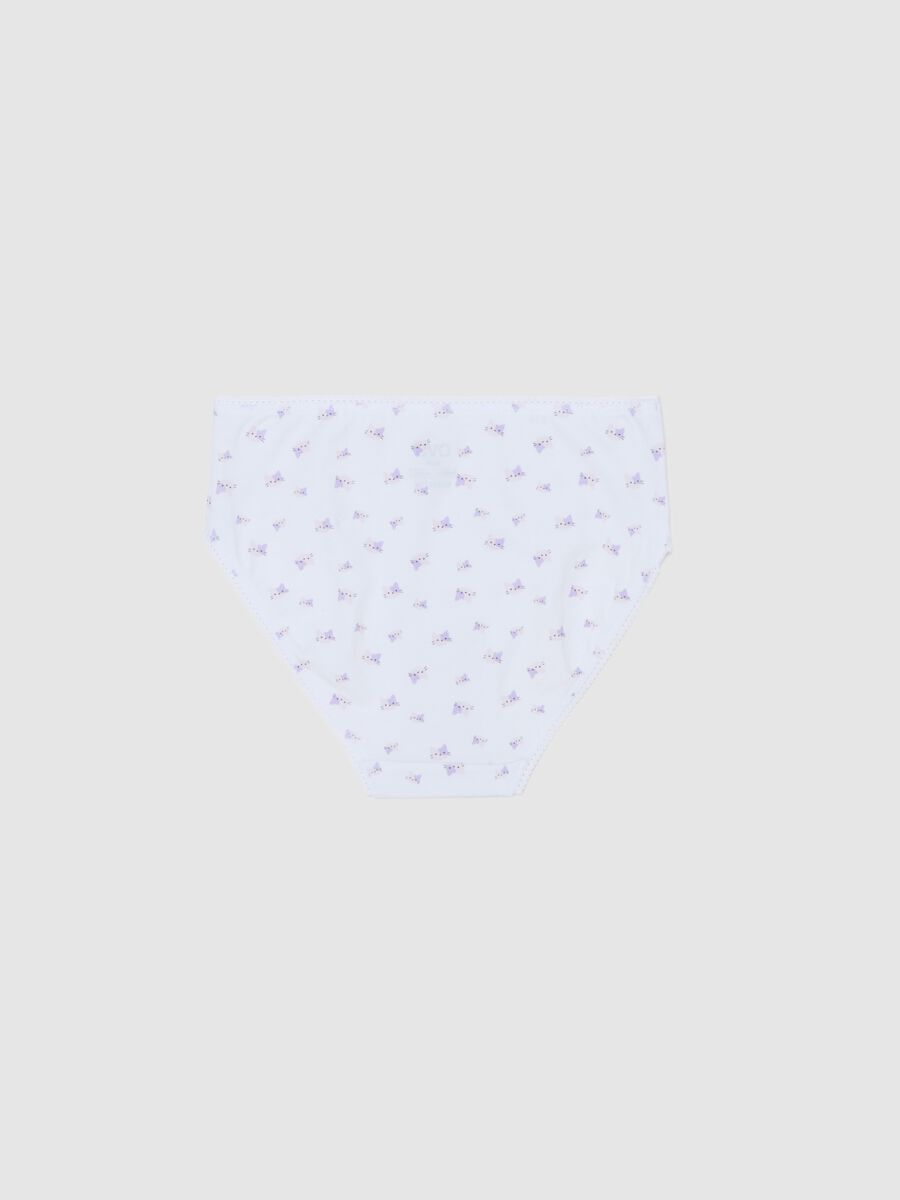 Jersey briefs with kittens print_1