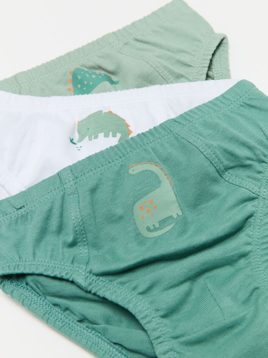 Five-pack briefs with dinosaur print_3