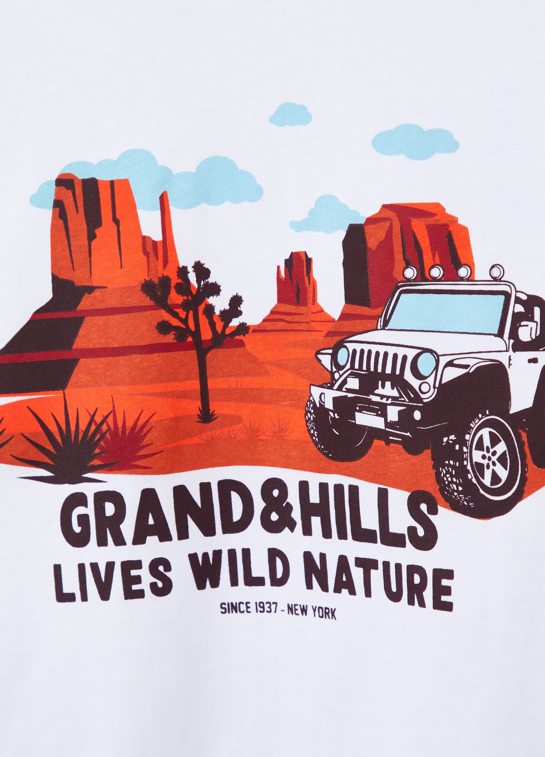 Grand&Hills T-shirt with desert print