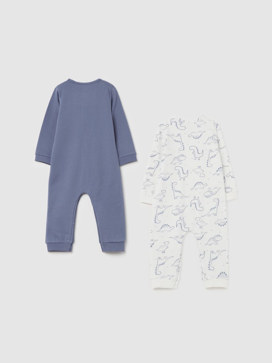 Two-pack organic cotton onesies with dinosaurs print_1