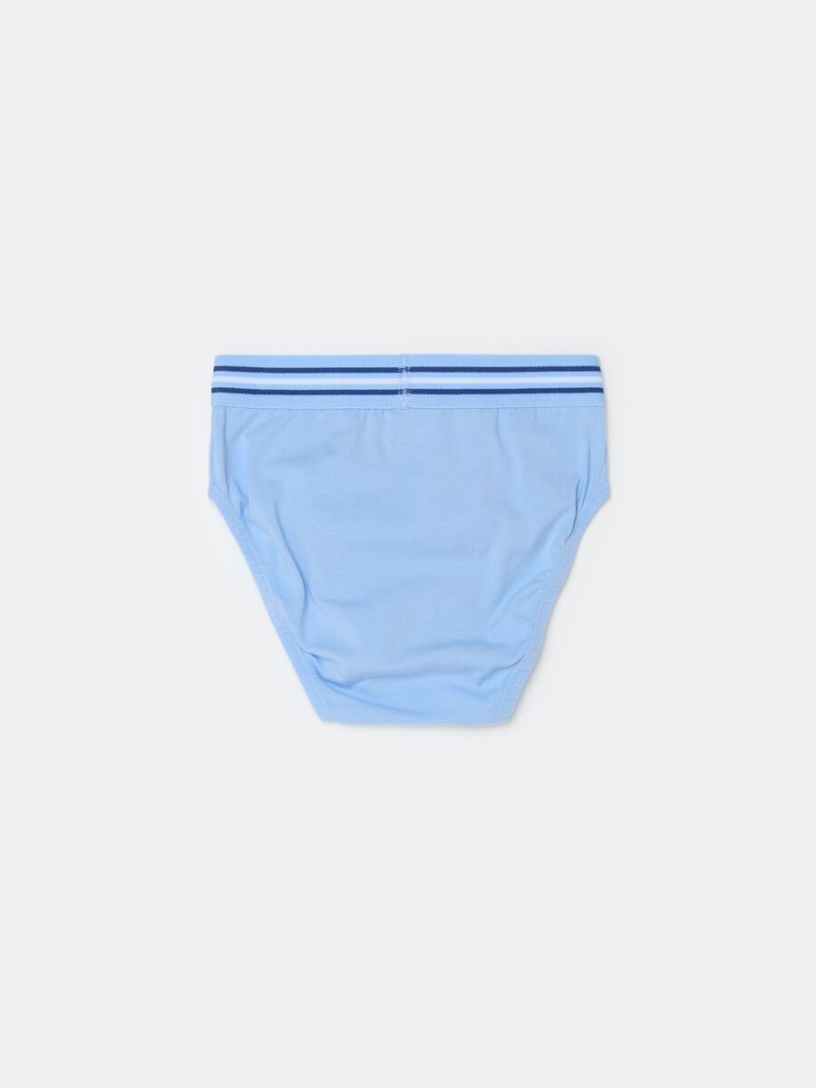 Organic cotton briefs with striped elastic_1