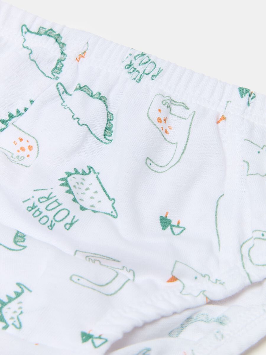 Five-pack briefs with dinosaur print_2
