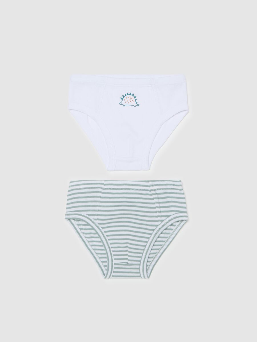 Two-pack briefs in organic cotton with print_0