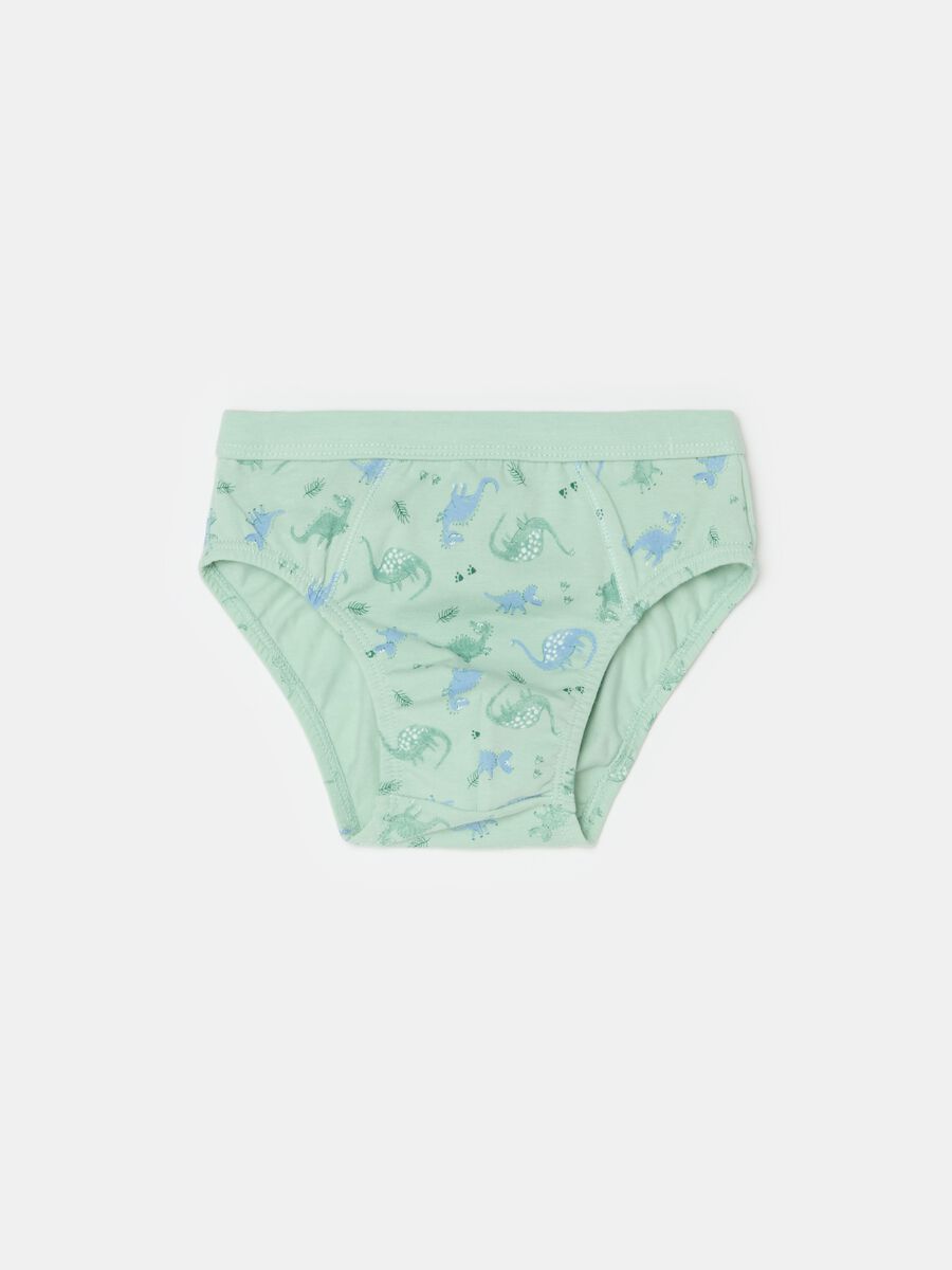 Organic cotton briefs with print_0