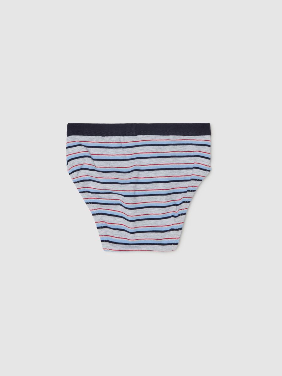 Briefs in organic cotton with striped pattern_1