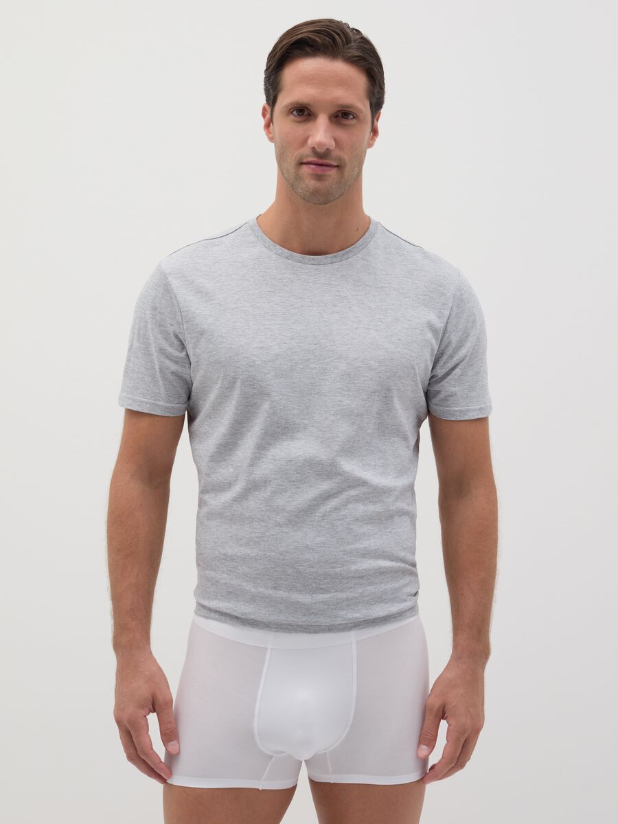 Boxer in modal stretch_0