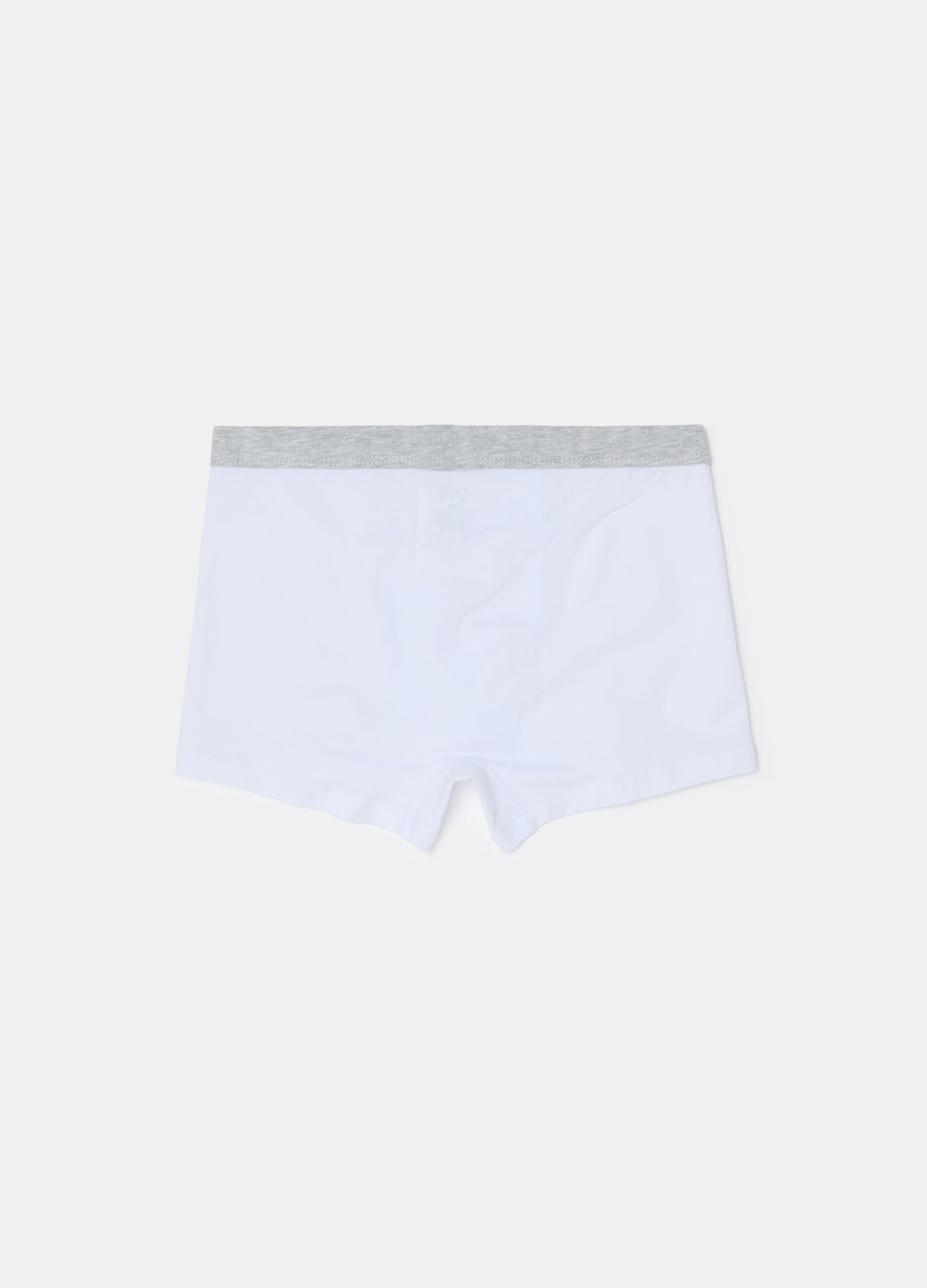 Organic cotton boxer shorts