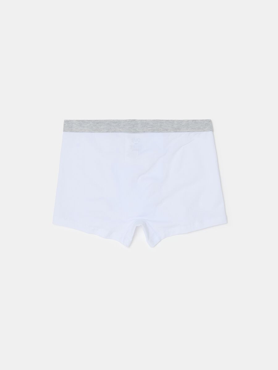 Organic cotton boxer shorts_1