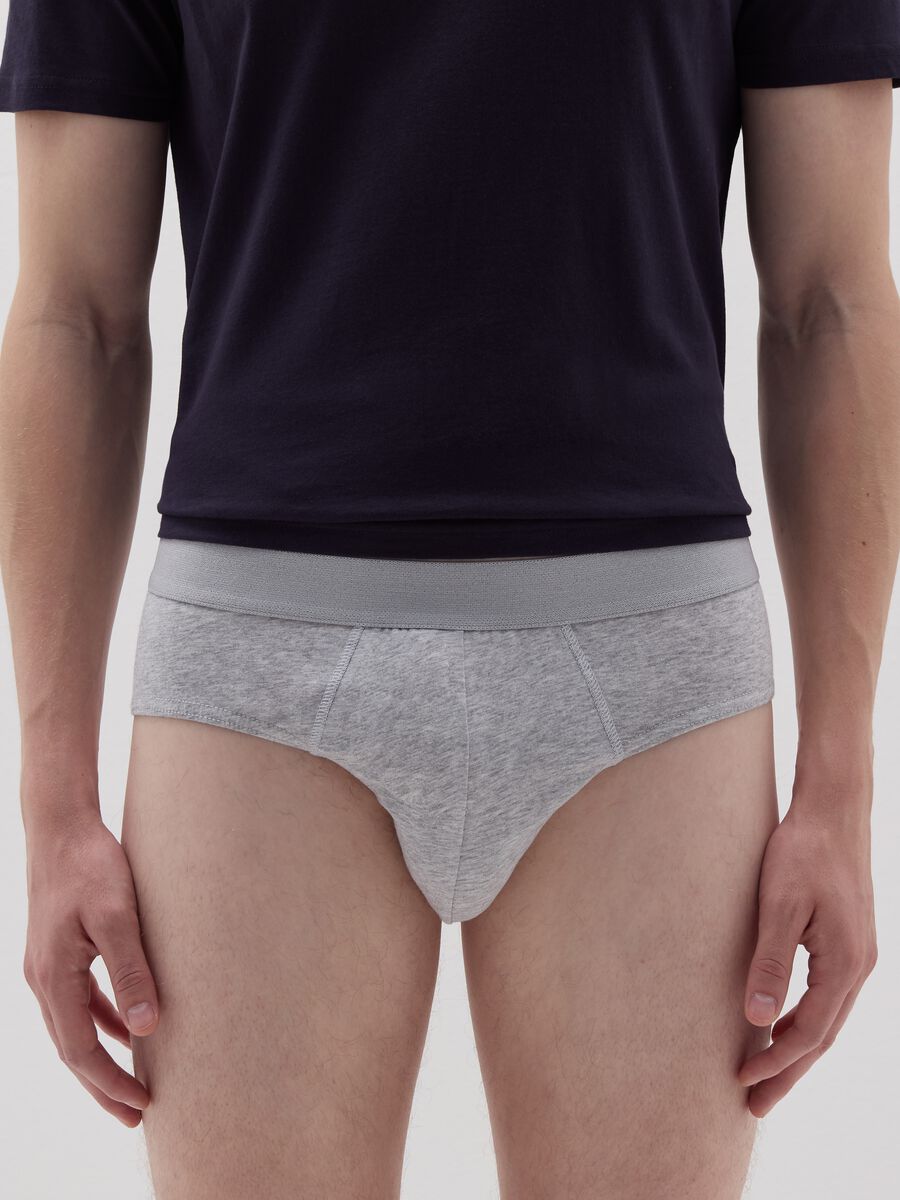 Stretch organic cotton briefs_1