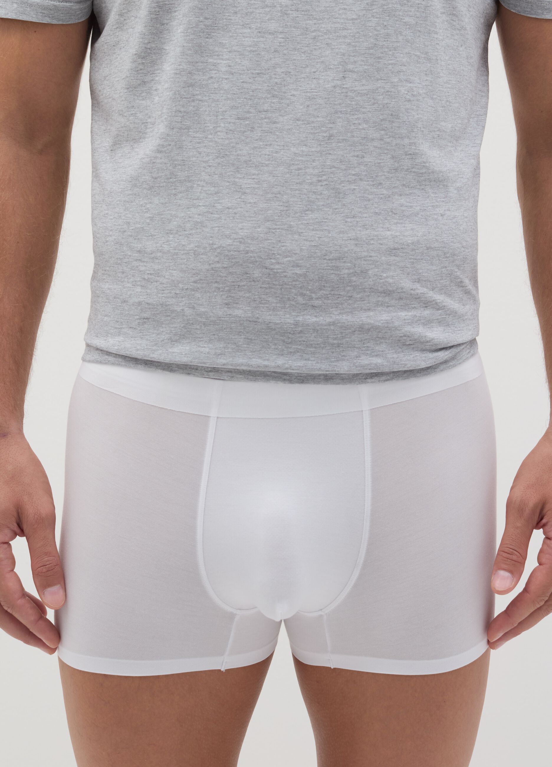 Boxer in modal stretch