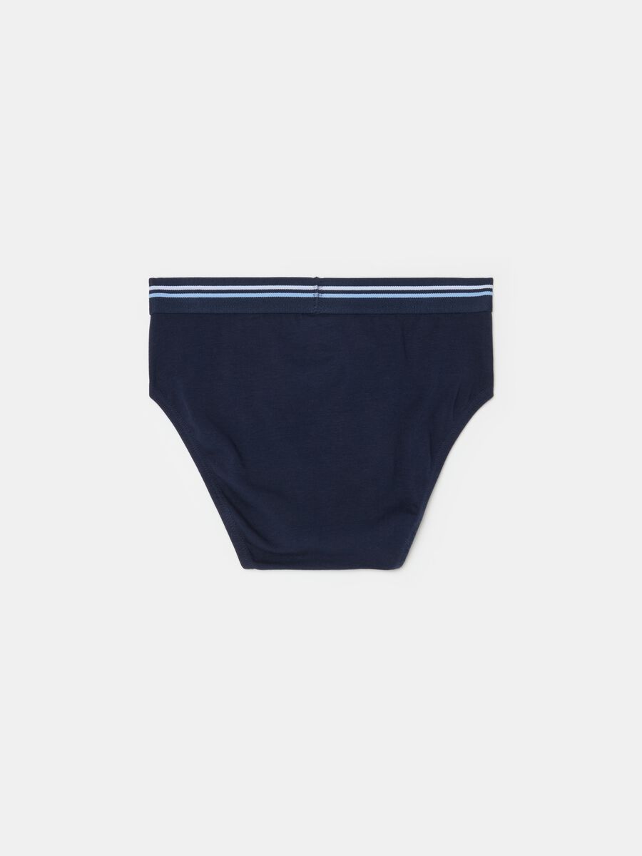 Organic cotton briefs with striped elastic_1