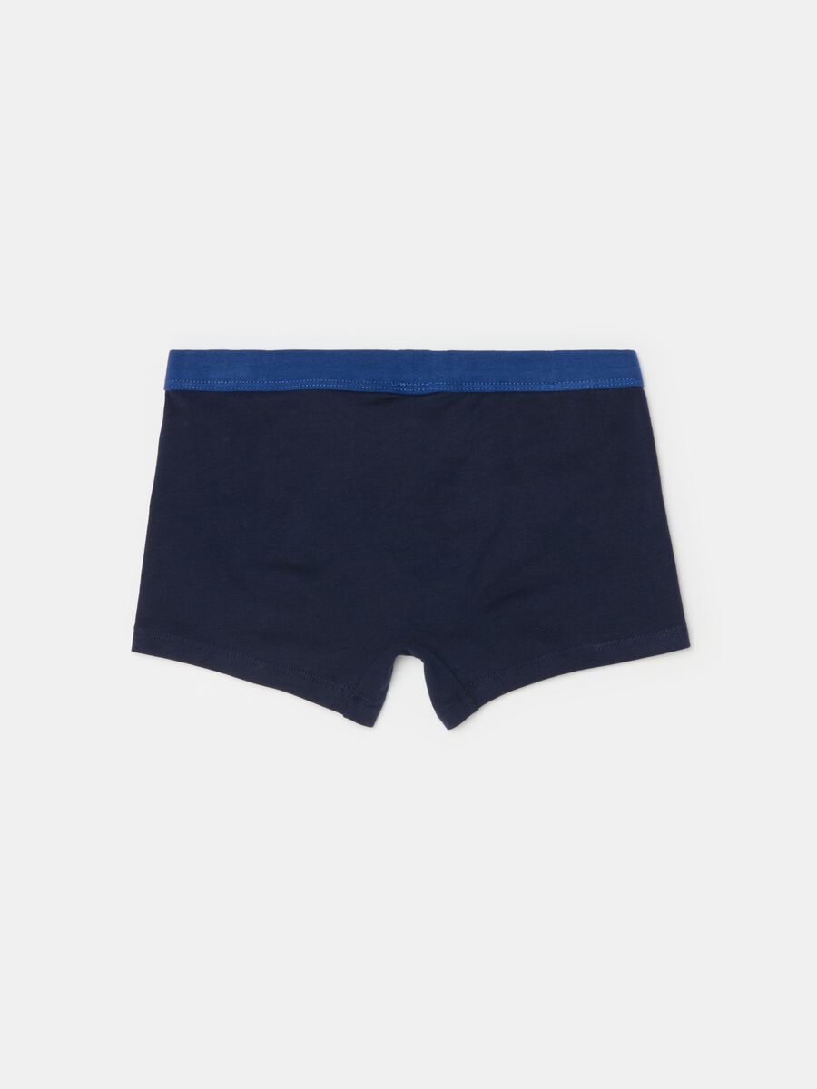 Organic cotton boxer shorts_1