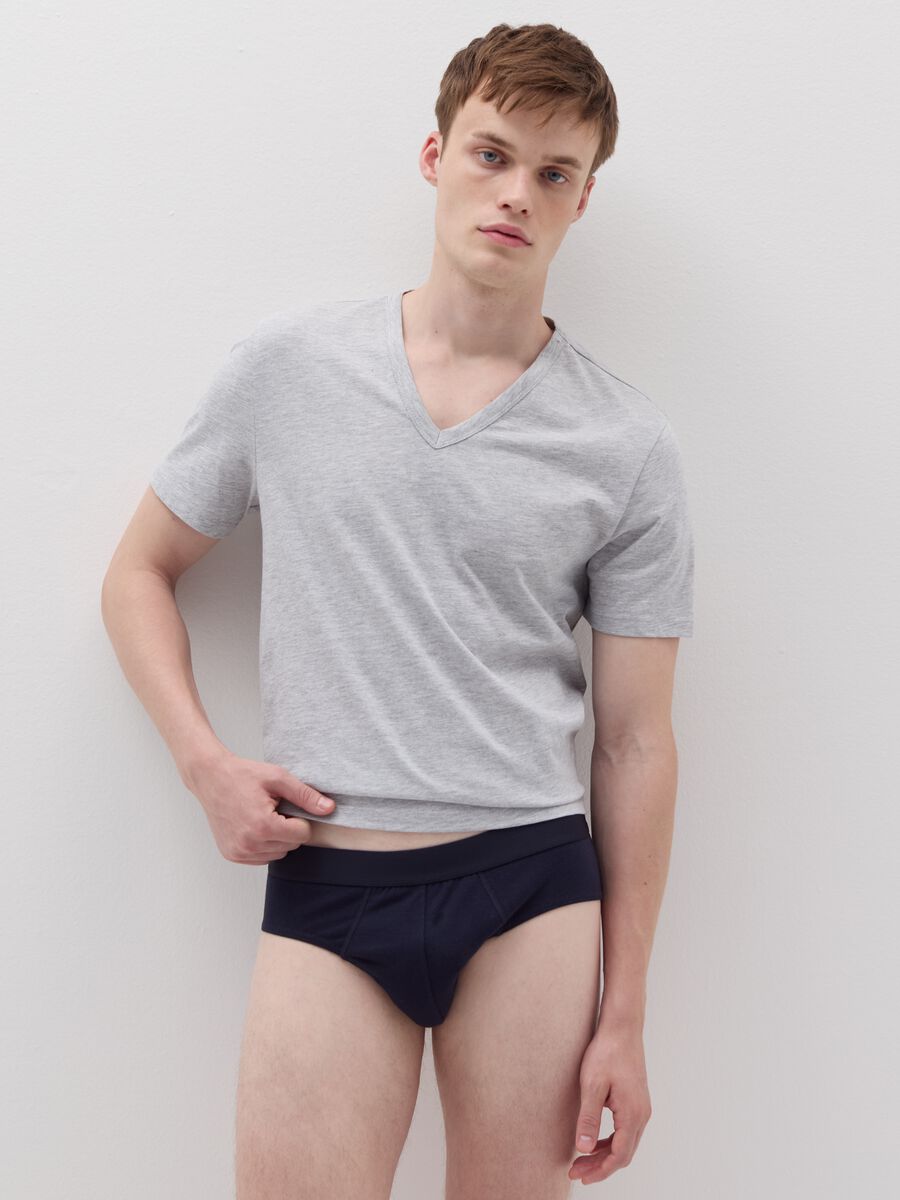 Stretch organic cotton briefs_0