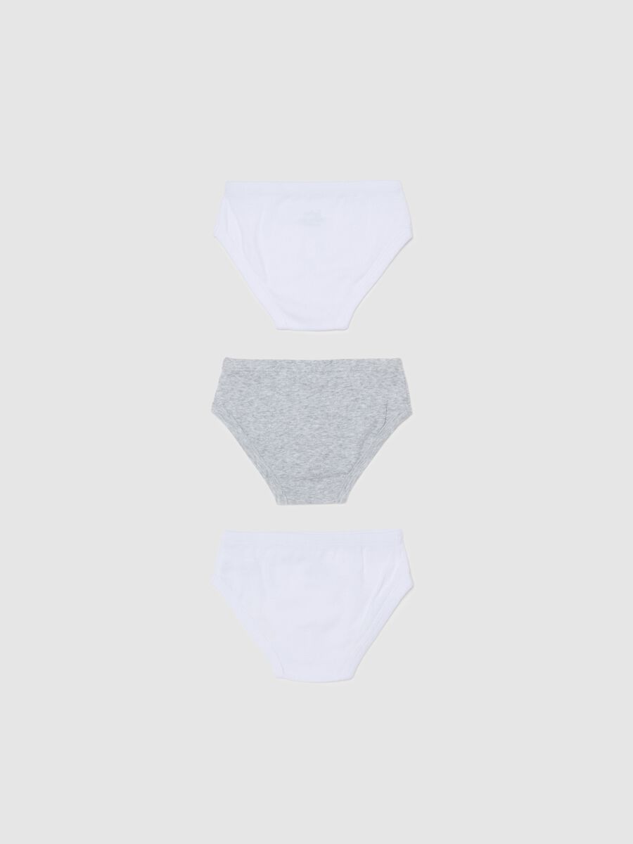 Three-pack organic cotton and viscose briefs_1