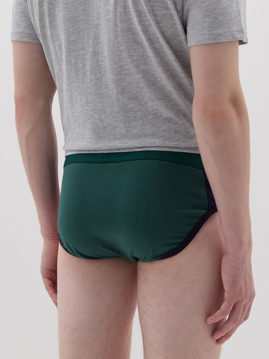 Briefs with contrasting details_2