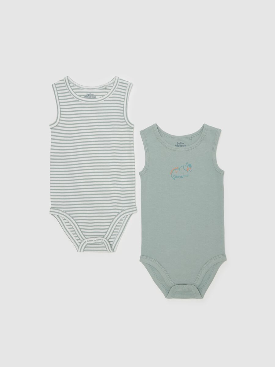 Two-pack bodysuits in organic cotton with striped pattern_0