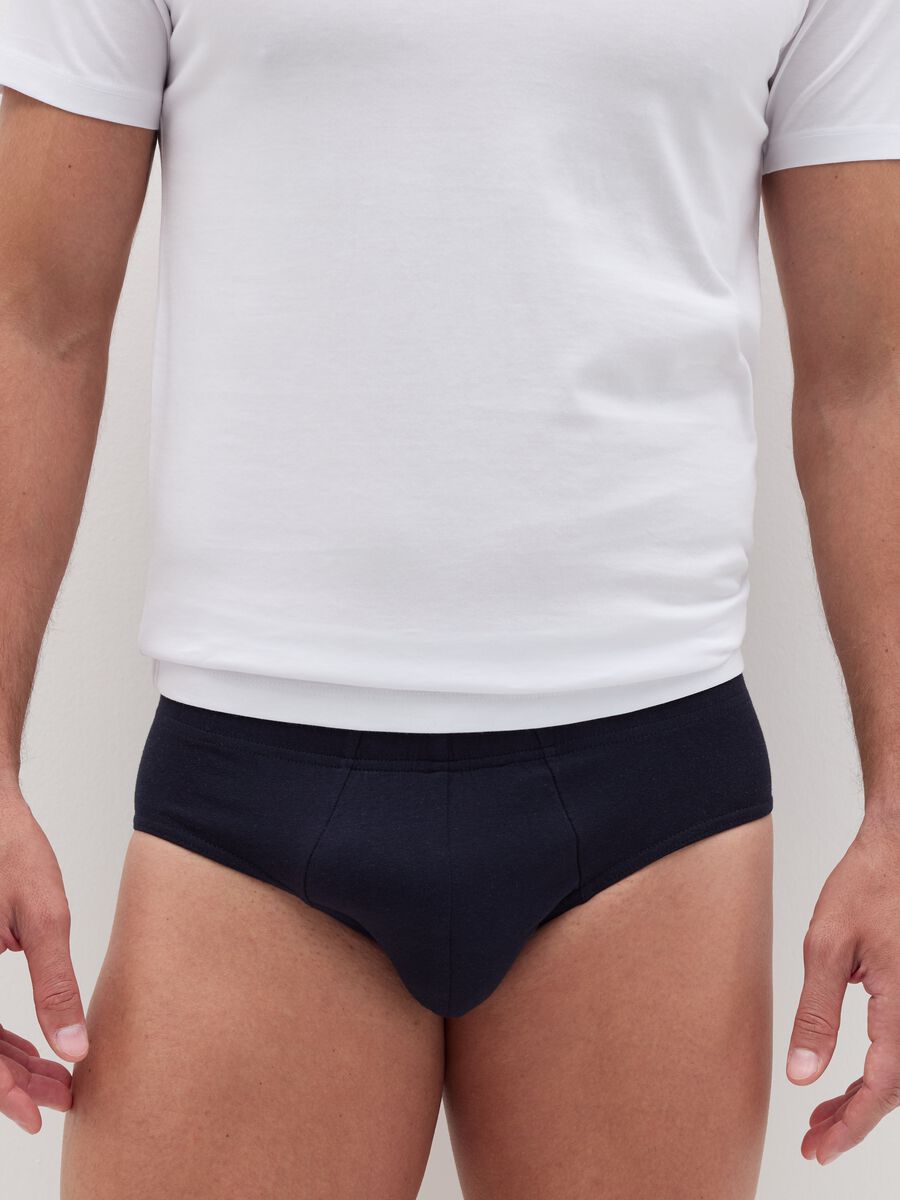 Organic cotton briefs_1