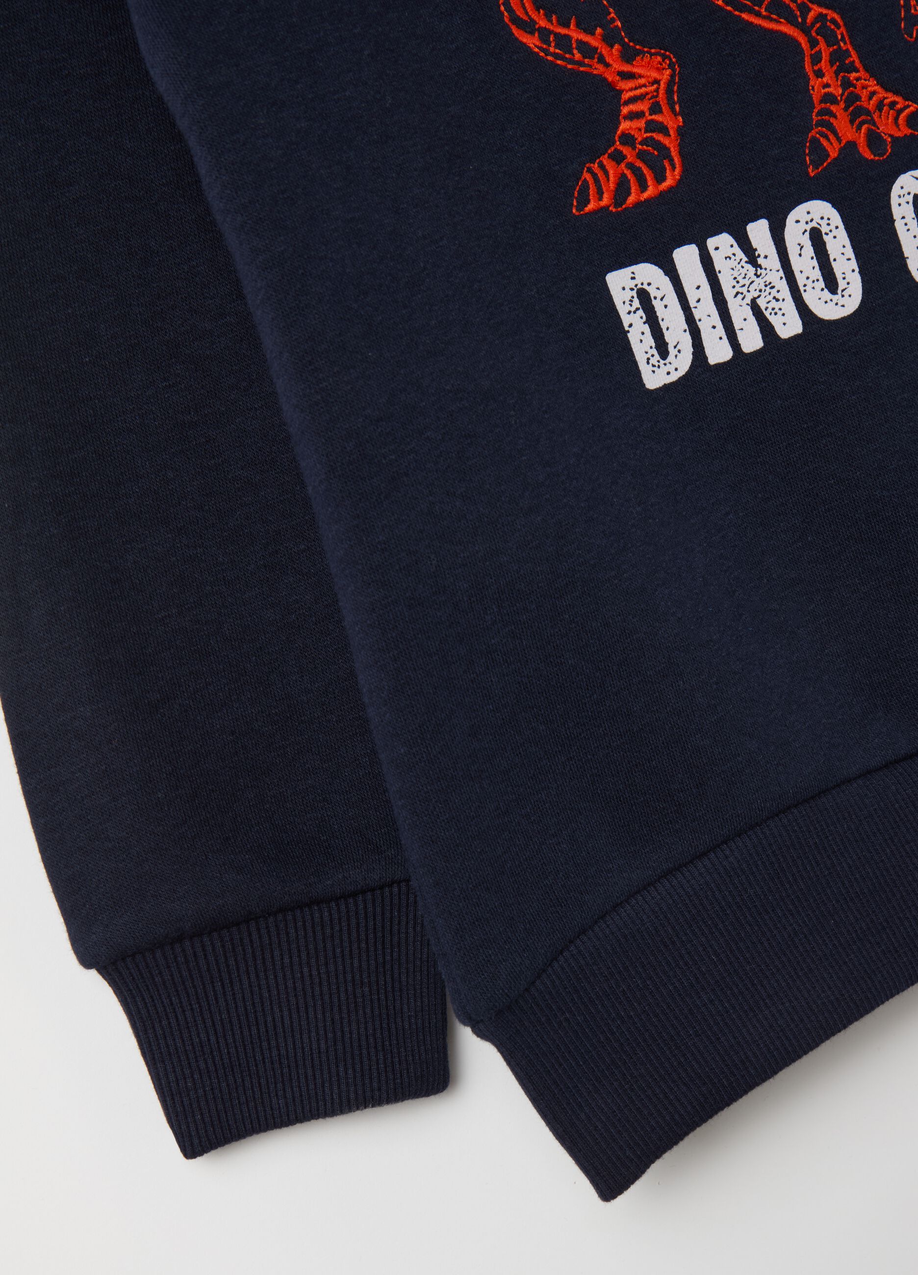 Sweatshirt with hood and dinosaur embroidery