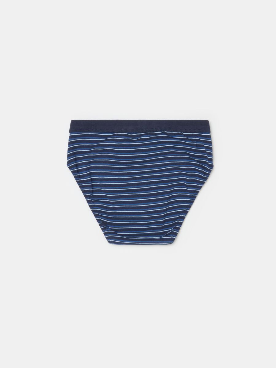 Striped organic cotton briefs_1