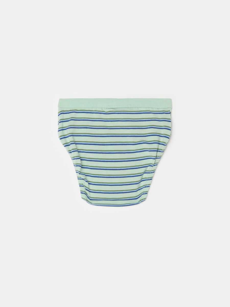 Striped organic cotton briefs_1