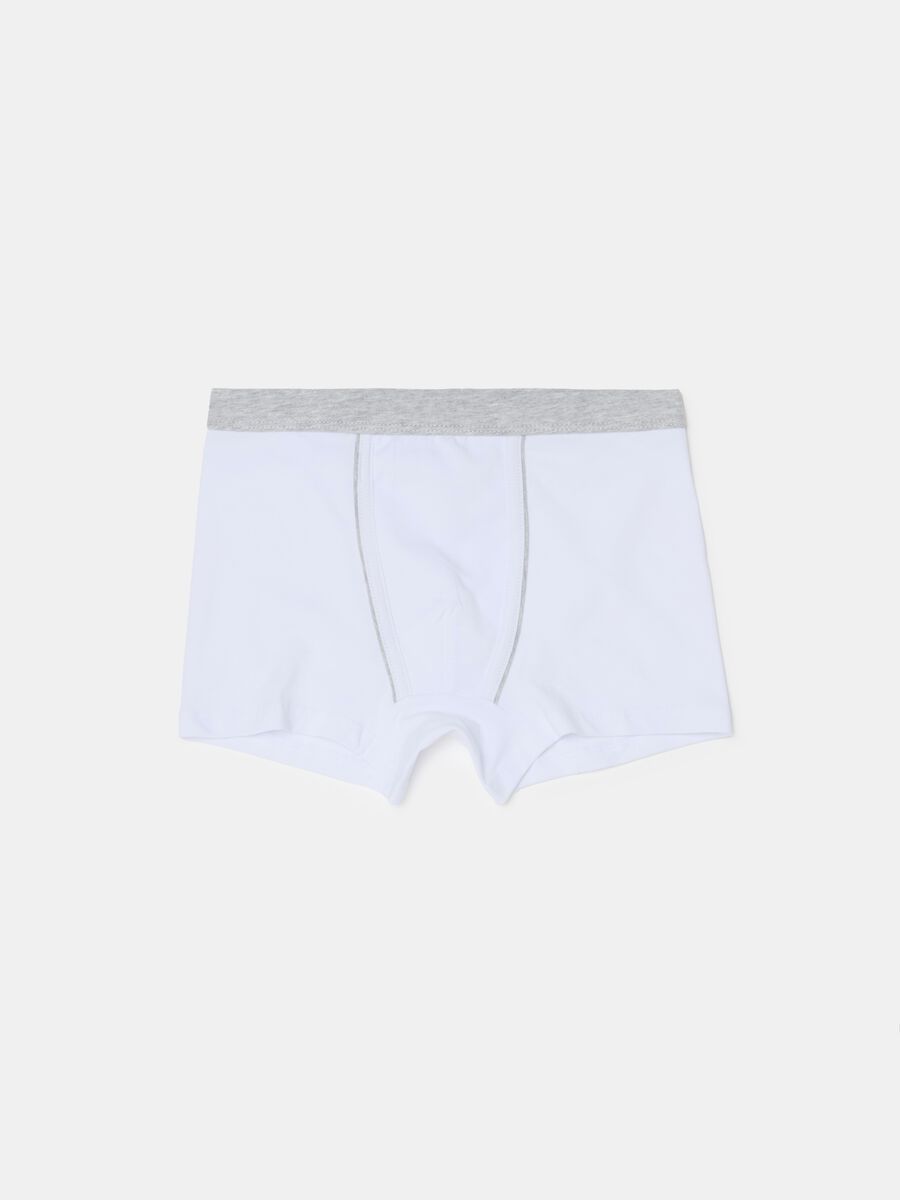 Organic cotton boxer shorts_0