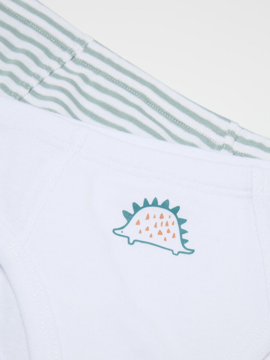 Two-pack briefs in organic cotton with print_3