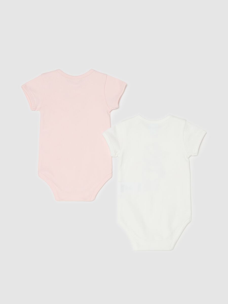 Two-pack Winnie the Pooh organic cotton bodysuits_1