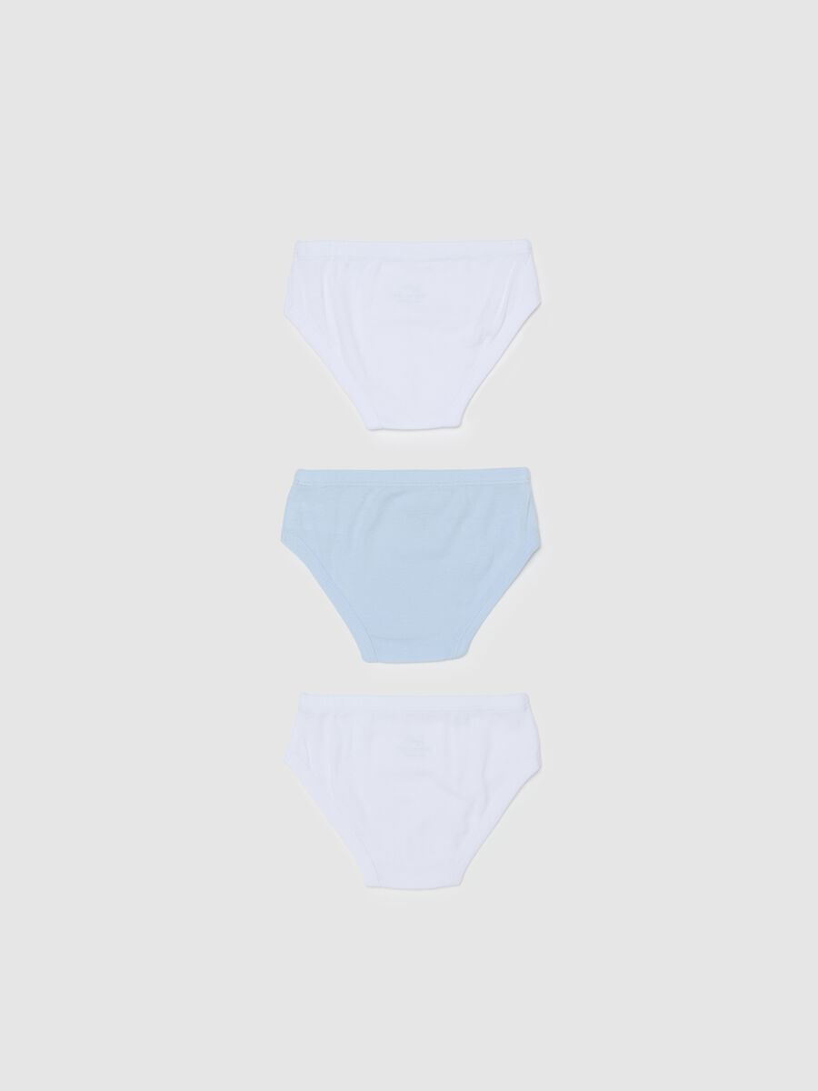 Three-pack organic cotton and viscose briefs_1