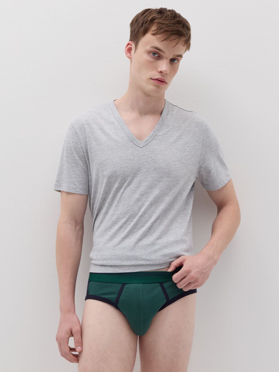 Briefs with contrasting details_0