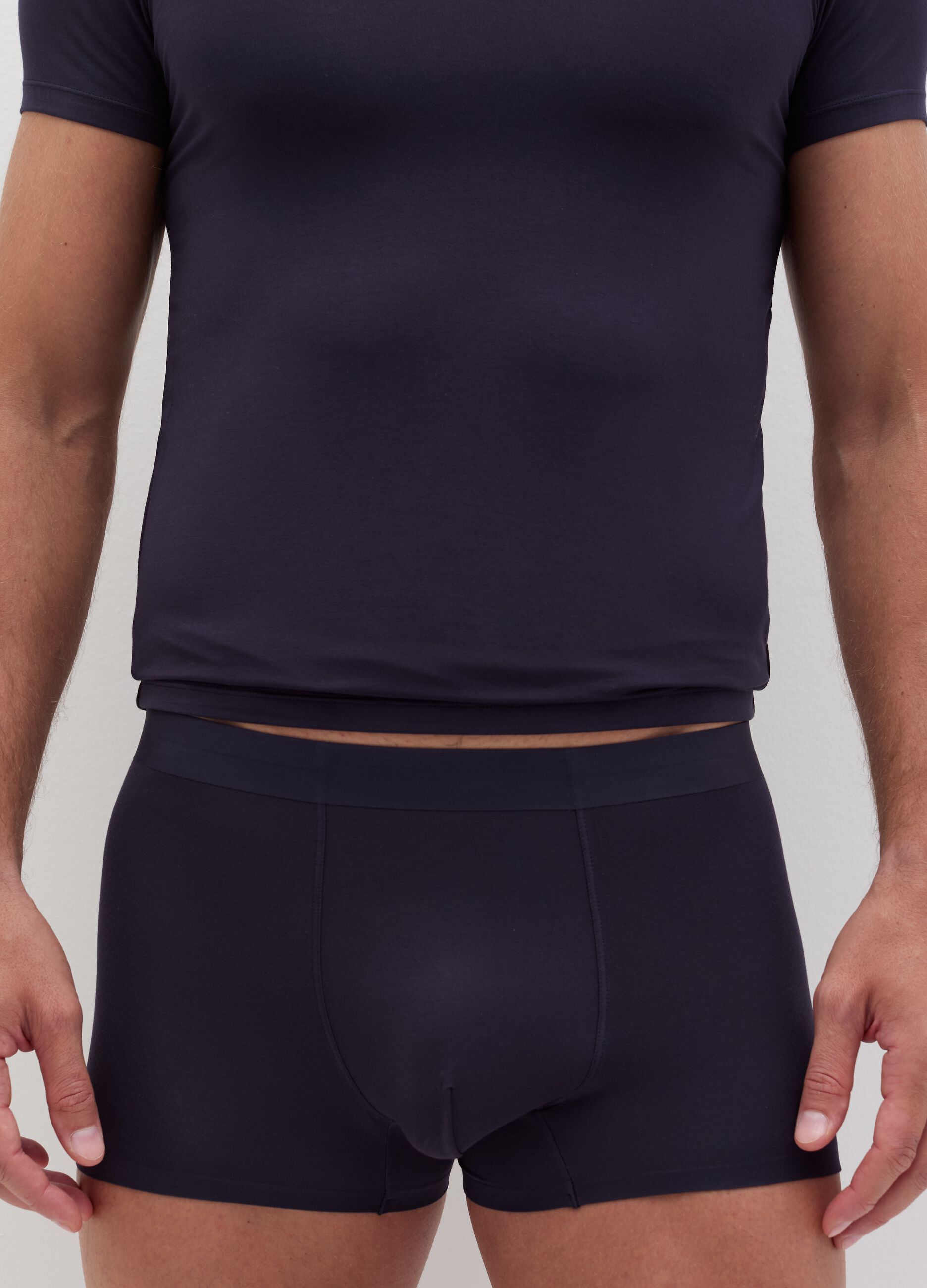 Boxer in modal stretch